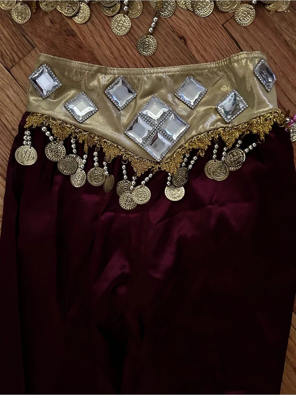 Weissman Burgundy and Gold Dance Genie Costume